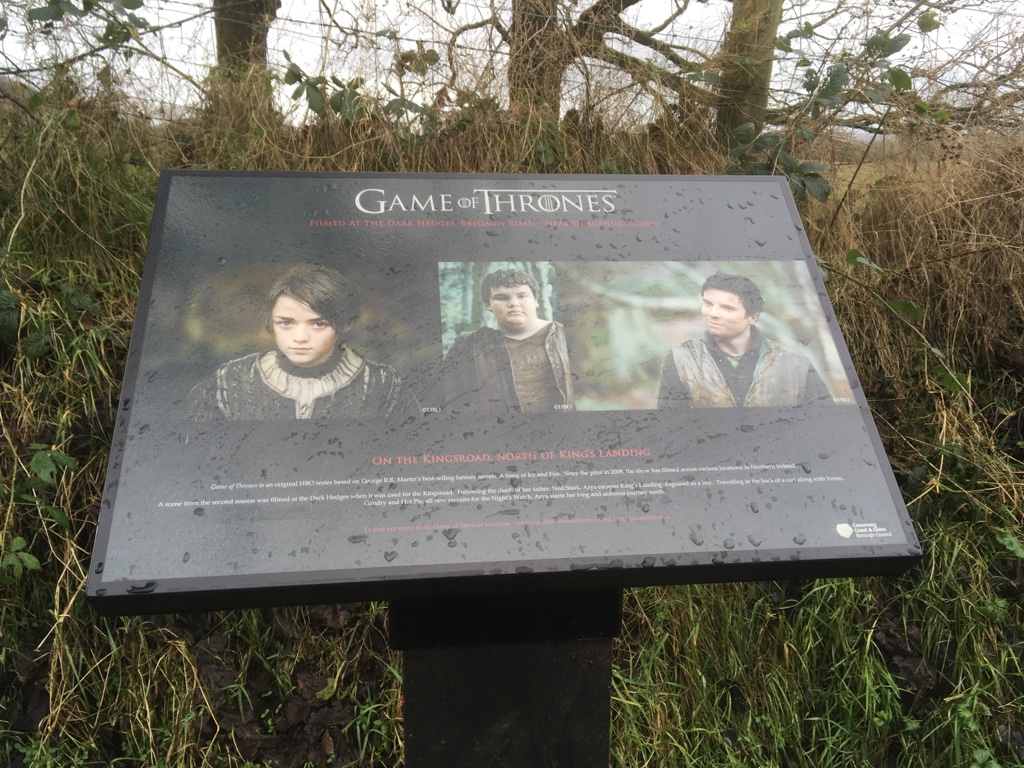 Dark Hedges 1